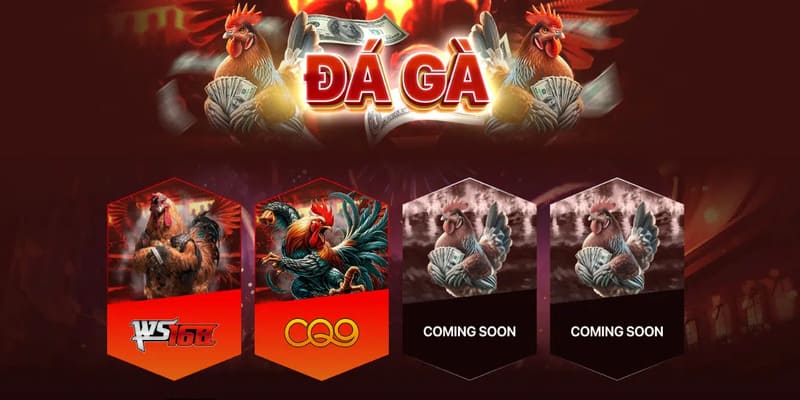 ABC8 - Trang Chủ Chính Thức Của ABC8.COM Sảnh đá gà với đa dạng sự lựa chọn hấp dẫn cho kê thủ