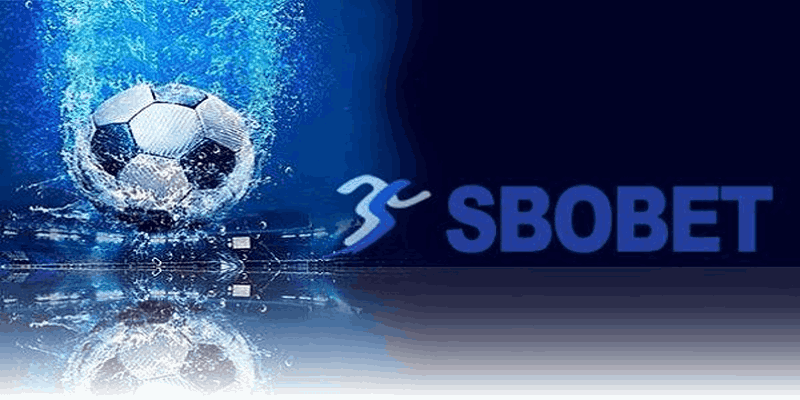 SBO Thể Thao - Sảnh Cá Cược Chuyên Nghiệp Uy Tín Nhất 2024 Một số điều lưu ý khi cá cược thể thao tại SBO